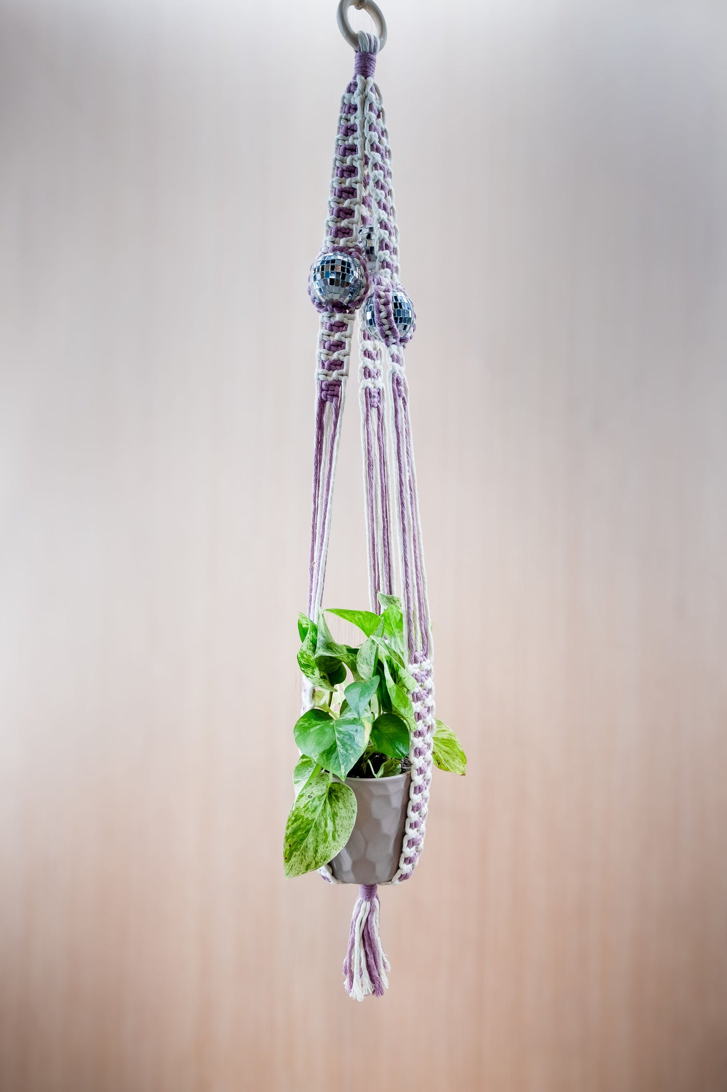 "Disco Bloom" Macramé Plant Hanger