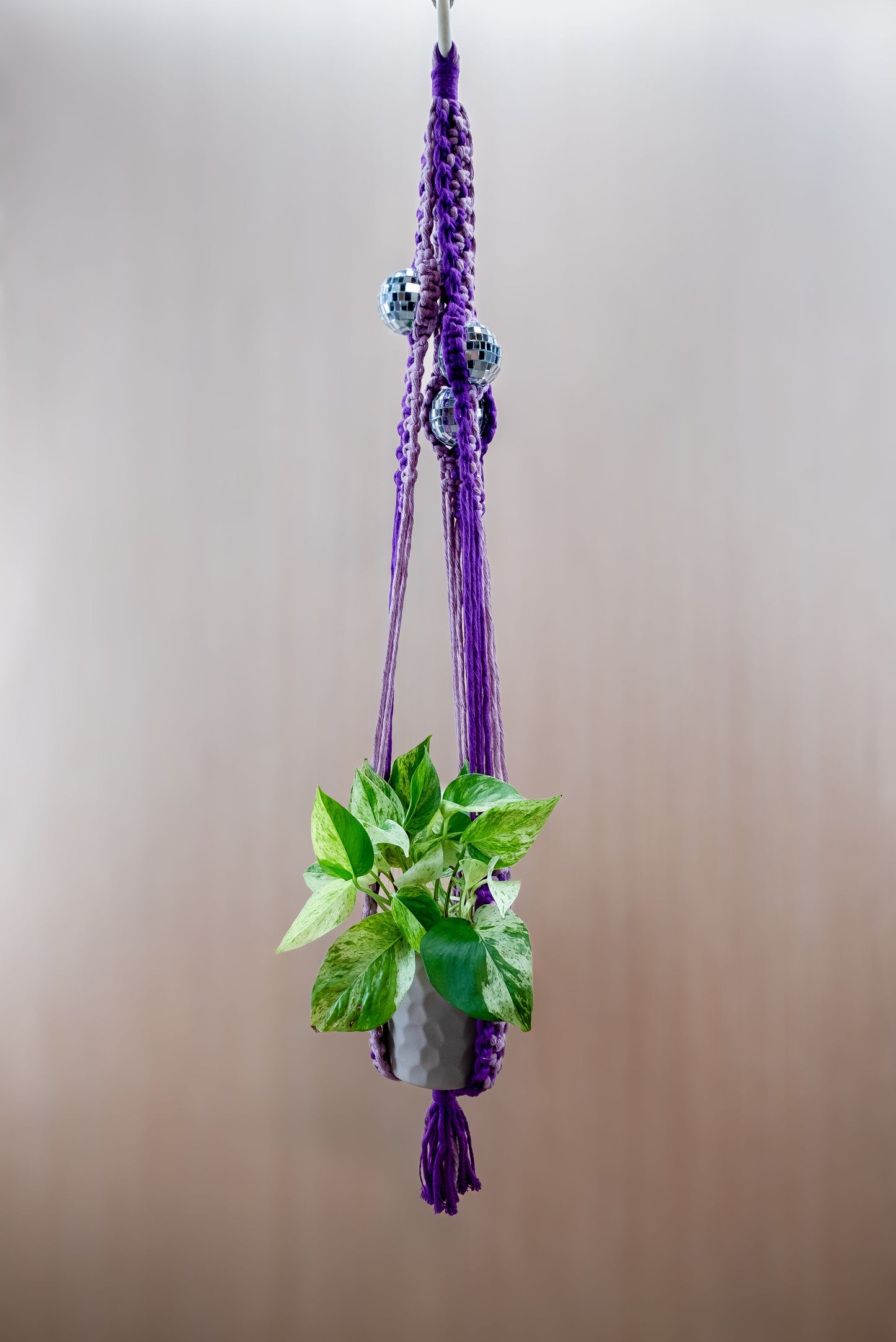 purple macrame plant hanger "Disco Bloom" Macramé Plant Hanger