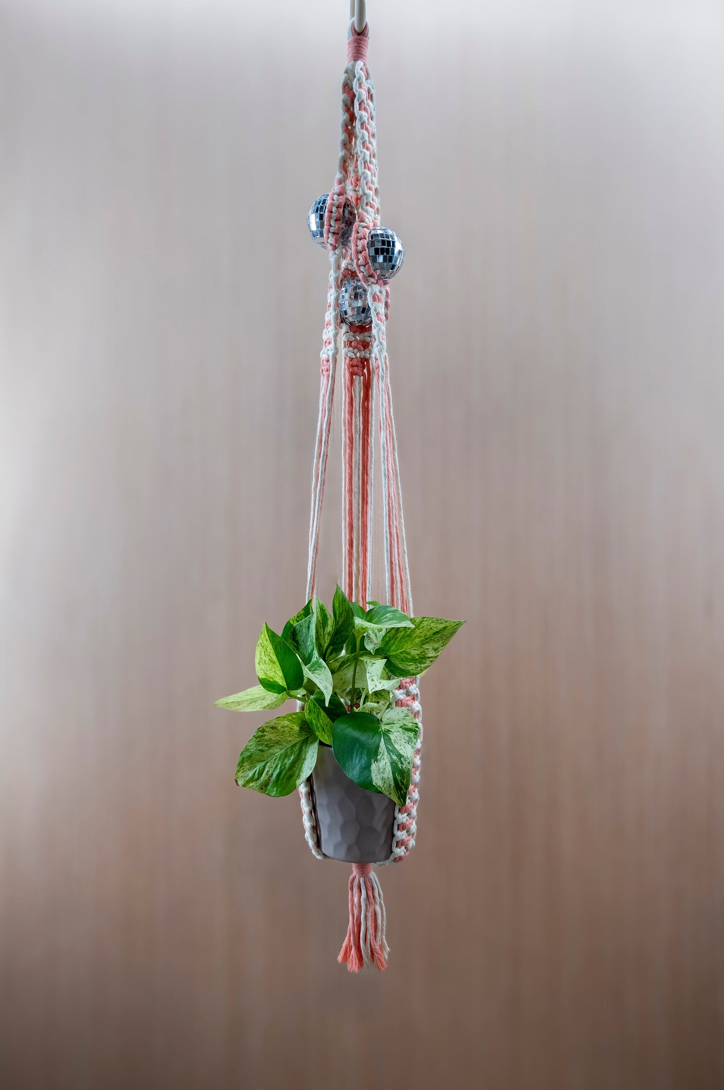 "Disco Bloom" Macramé Plant Hanger